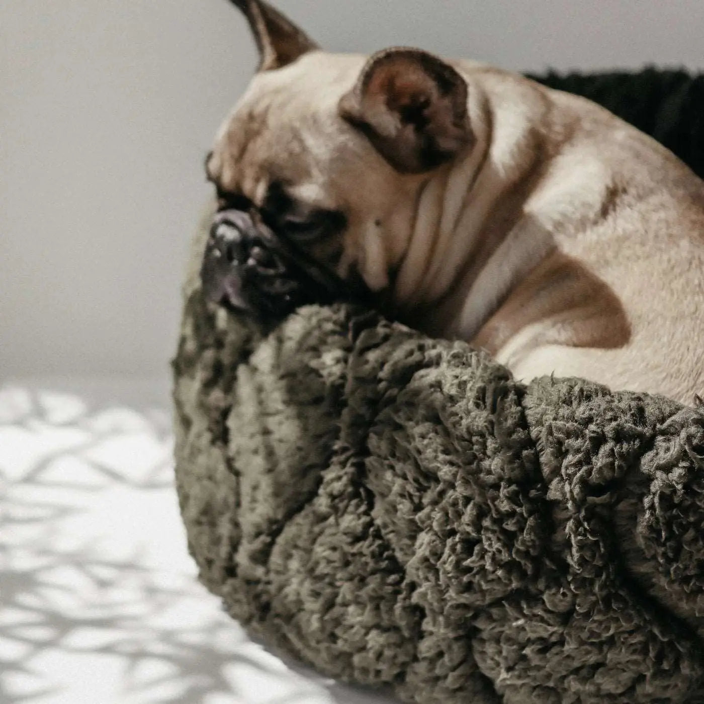 Taart Donut Hundebett - Lambwolf Collective - Puplando